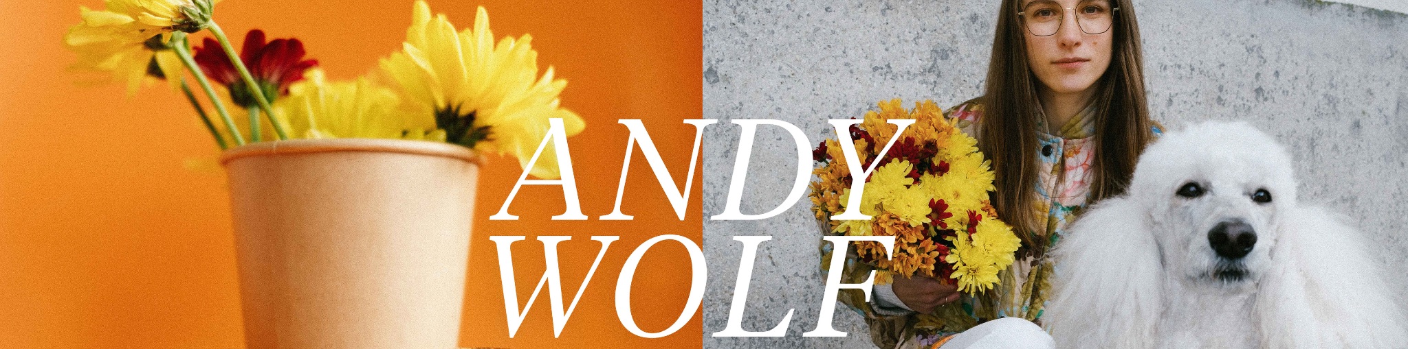 Andy Wolf